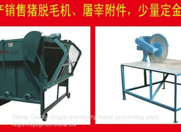 Pig Hair Removal Machine photo-4