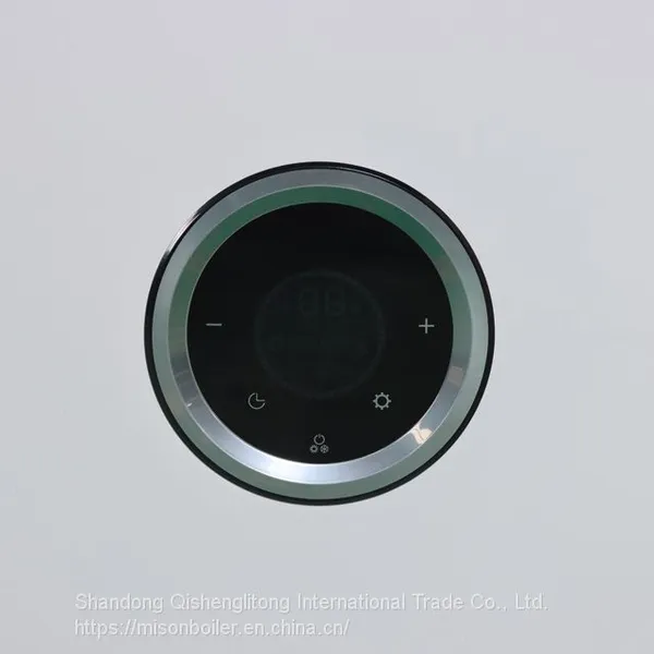 China Factory Gas Wall Hung Boilers Wholesale Price Domestic Lpg Ng Instant Gas Geyser Boiler photo-3