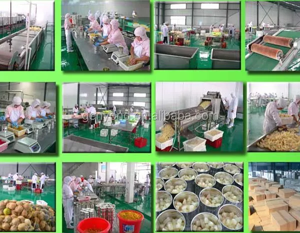 Industrial Factory Pineapple Juice Canned Pineapple Production for Baking and Cooking photo-3
