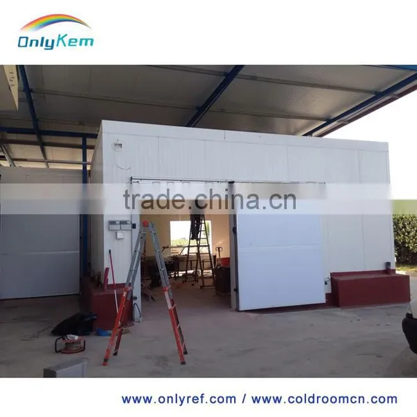 PU Foam Sandwich Panel for Cold Room Building photo-4
