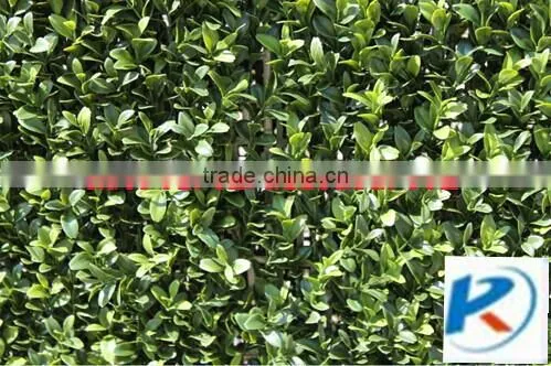 Wholesale Home Decoration Artificial Fence Wall photo-3