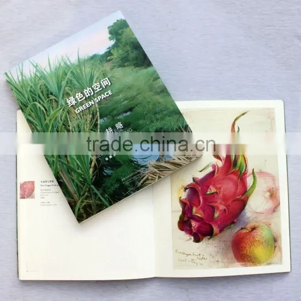 Professional tri fold brochure