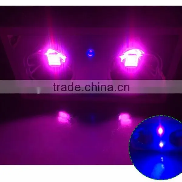 Best Selling Products Tiny House Hydroponic Grow Systems Zeus LED Plants Grow Light photo-5