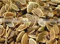 Dill Oil (Anethum Sowa ) photo-6