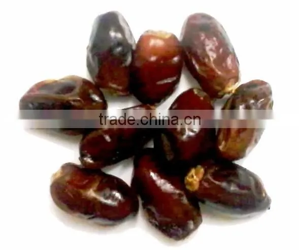 Diced Chopped Dates Bulk Pack - HACCP KOSHER Certified Rolled in Rice Flour, Size 8-10mm by GNS Pakistan photo-6