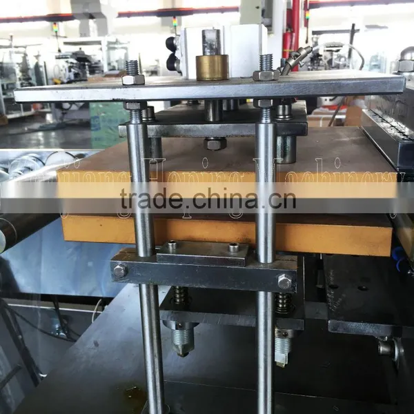 Blister-Cartoning Automatic Packing Line photo-2