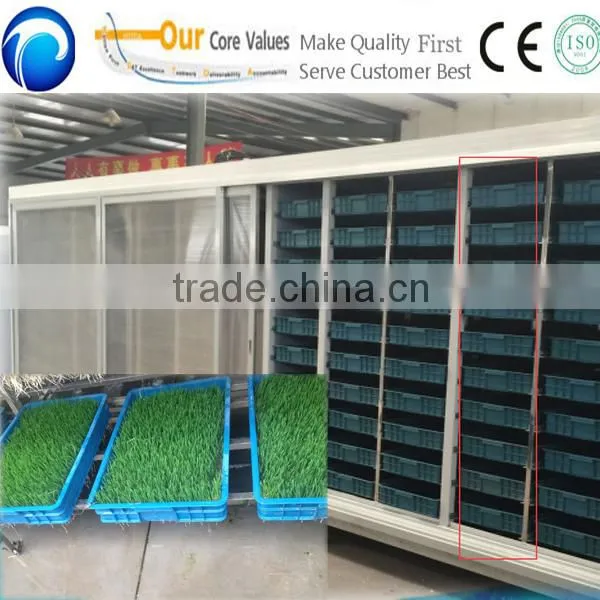Hot sale hydroponic fodder commercial bean sprout making machine with two cabinets
