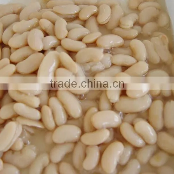 Pure Natural Organic Small White Kidney Beans photo-2