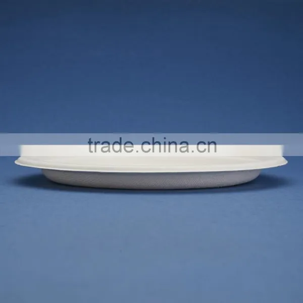 PL-09 Bleached 9 Inch Round Diposable Bagasse Paper Plates Quality Choice photo-2
