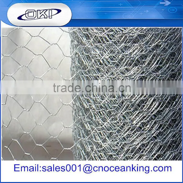 Supply Poultry Netting / Hexagonal Fence Netting From Top Factory photo-3