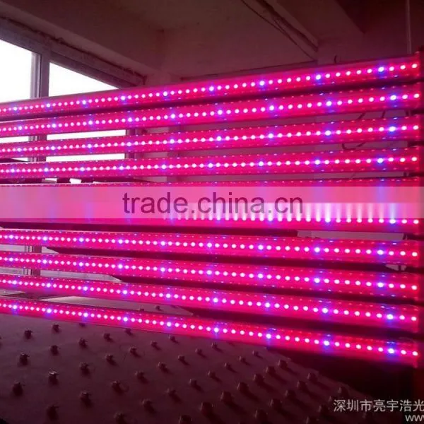 China Factory Project Light Led Solar Dusk to Dawn Flood Light 3 Years Warrranty With CE ROSH SAA UL Approval photo-3