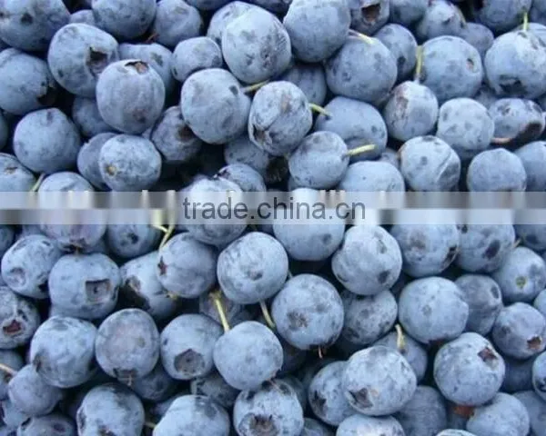 2015 IQF Frozen Blueberry Frozen Fruit Supplier