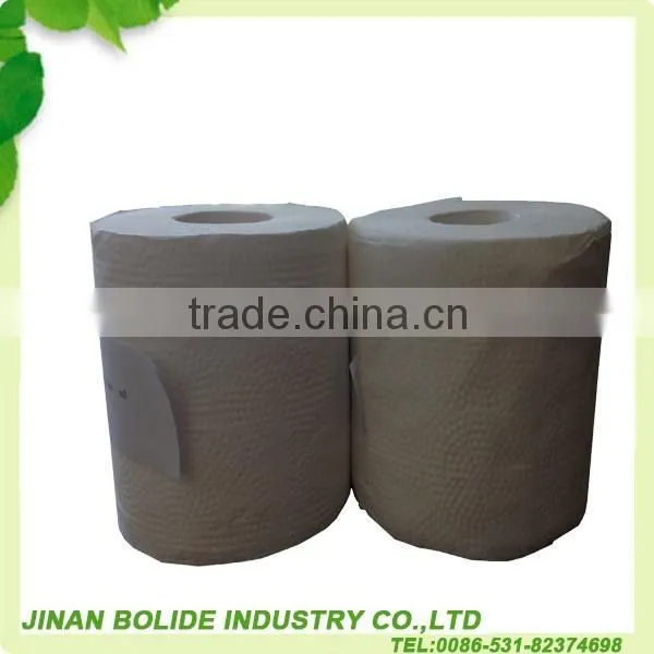 1 Ply Recyled Toilet Paper Product photo-3