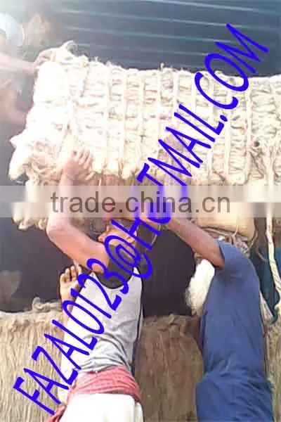 JUTE COIR FIBER / FIBRE, RAW MATERIAL OF JUTE MATTRESS FROM EXPORT TRADE ASSOCIATE WITH CHEAP FIBERS FOR PRODUCTION OF NONWOVEN photo-6