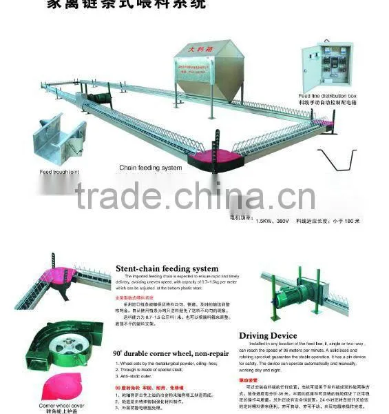 Automatic Breeder Chain Feeding System photo-4