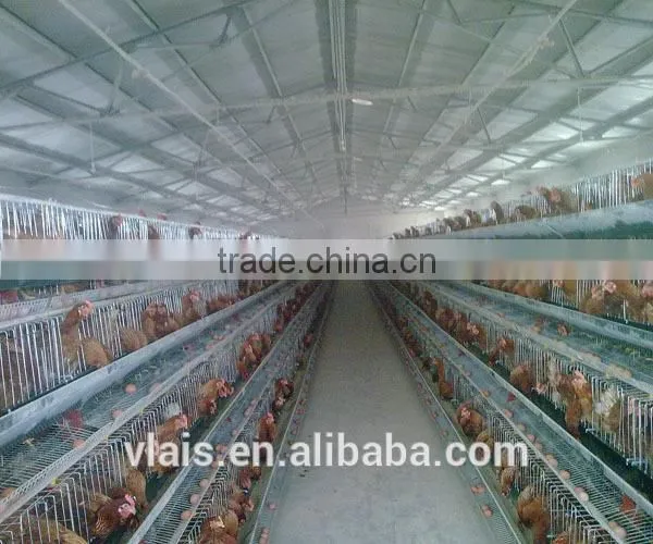 Wholesale Small Animal Cages for Automatic Chicken Cage