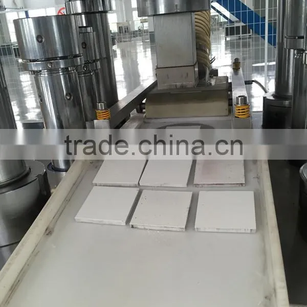 Trustworthy Factory in China With Experienced Engineers in Hydraulic Ceramic Tablet Press Machine photo-3