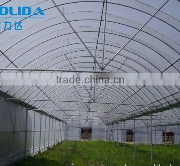 8m/9m/10m Single Span Tunnel Greenhouse For Sale photo-2