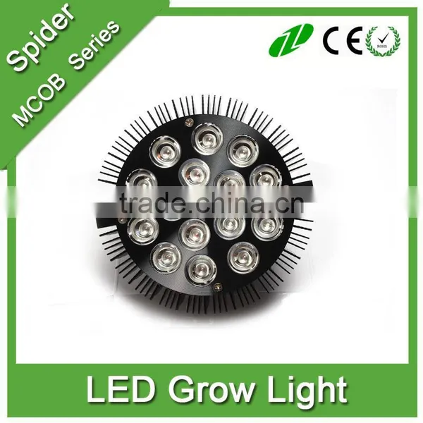 E27/E26 Par Led Grow Light Multi-Spectrum Hydroponics Plants Growing Lighting Indoor Graden Light photo-6