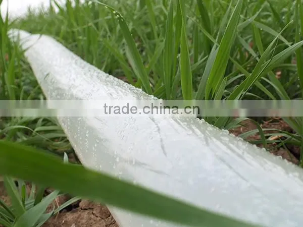 Chinese Manufacturer Transparent Color 2 Blue Line PE pe Lay Flat Hose photo-2