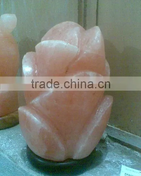 Salt Lamps From Himalaya photo-2