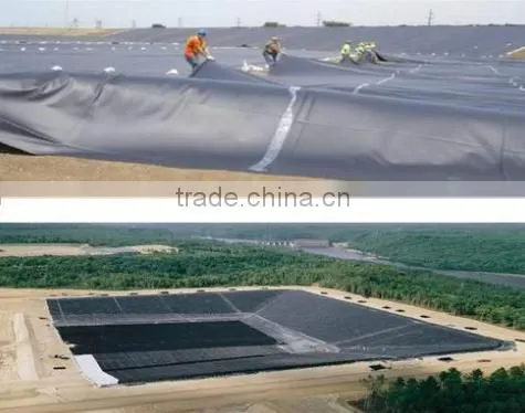 Long Service Life Smooth Side HDPE Geomembrane for Wasterwater Treatment Lagoons photo-2