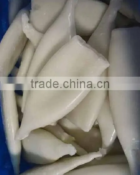 Frozen Squid Tube U10 photo-3