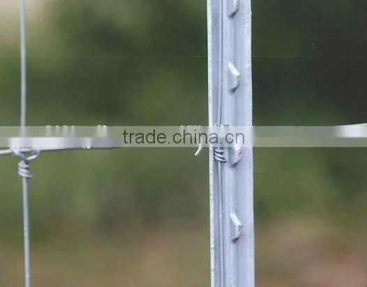 Steel Fence Post-T Style on Hot Sale China Supplier on Sale photo-3