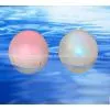 Solar Garden Lights-RxF02