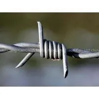 Barbed Wire