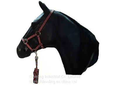 Horse Halter photo-2
