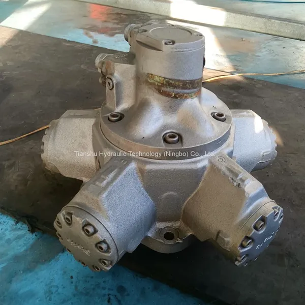 Tianshu Produce High Quality Staffa Radial Piston Kawasaki Hydraulic Motor for Injection Moulding Machine photo-4