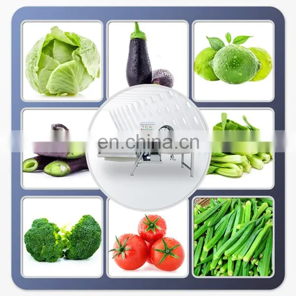 Industrial Vegetable Processing Line Salad Cutting Washing Dewatering Machine for Sale photo-5
