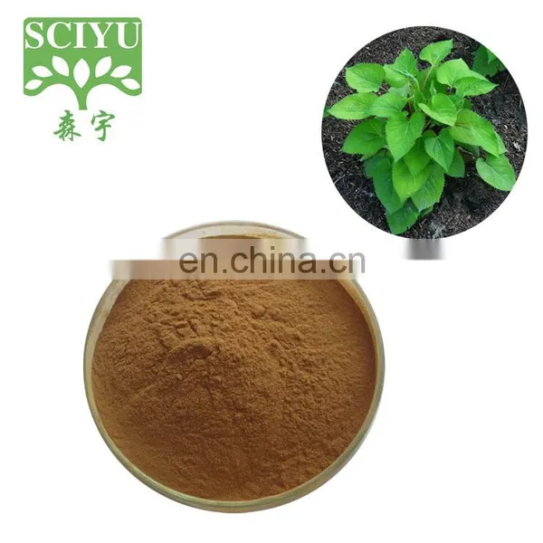 Порошок экстракта Aster Scaber, экстракт Doellingeria scaber