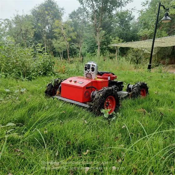 rc Remote Control Lawn Mower, China Remote Slope Mower for Sale Price, Remote Control Mower for Sale photo-4