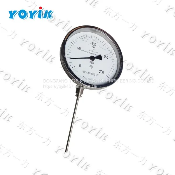 China Manufacturer Bimetallic Thermometer WSS-481 for Power Generation