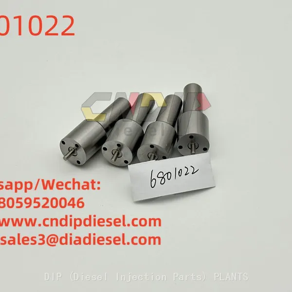 6801022 Diesel Fuel Injector Nozzle DELPHI Repair Kit Fot DELPHI Pencil Nozzles photo-2