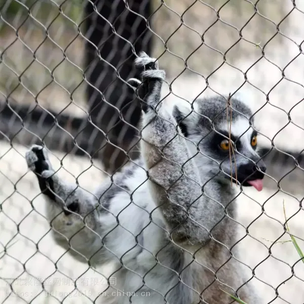 Corde d'aviary en fil de tôle d'acier inoxydable 304, grillage pour zoo pour enceinte de zoo