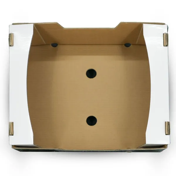 Corrugated Fruit Box for Avocado Printed Cardboard Packaging for Fresh Produce photo-5