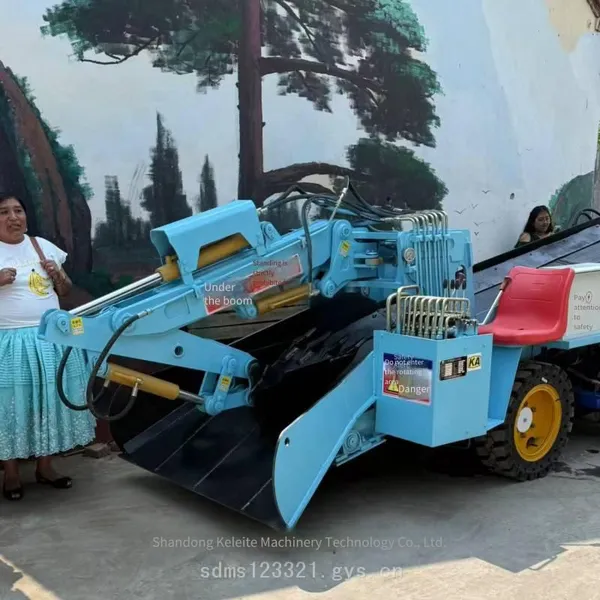 Zwy-60 Crawler Mucking Loader Manufacturer, Small Mucking Loader, Tunnel Mucking Machine, Overhead Steel Brush Mucking Machine Factory photo-3