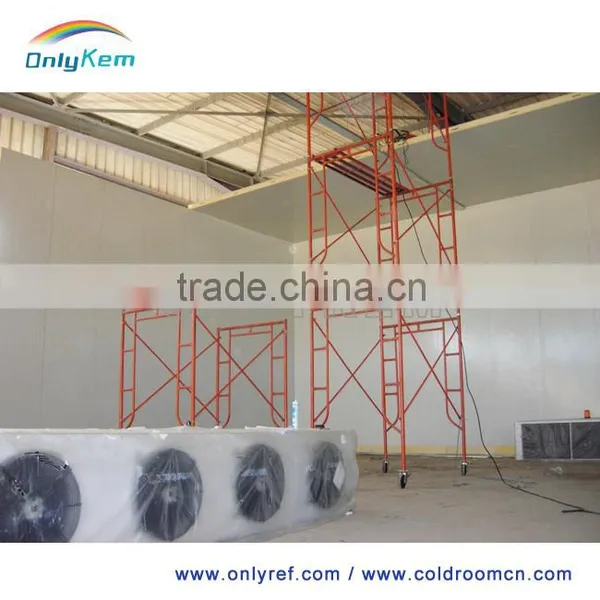 Stainless Steel Cold Room For Potato photo-3