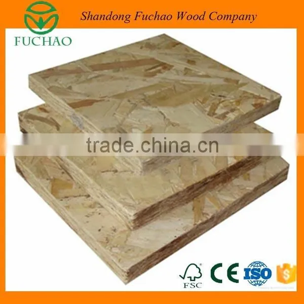 Cheap Price OSB Board in Mill photo-5