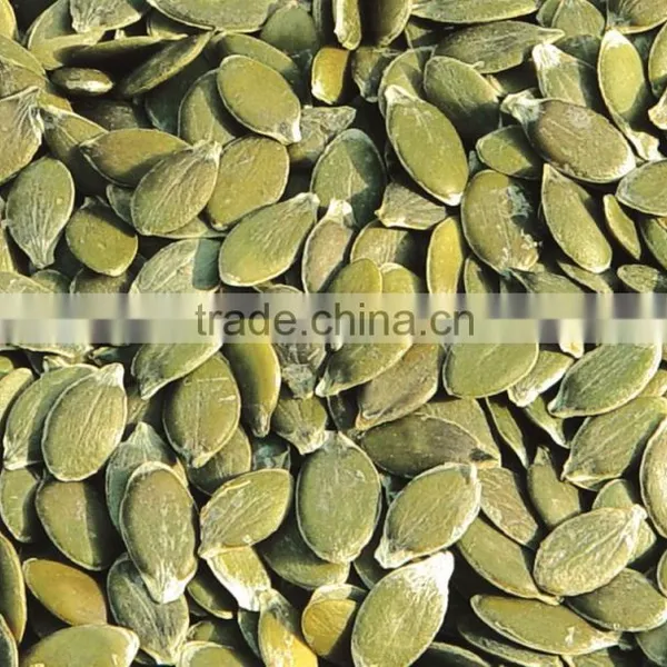 PUMPKIN SEED/SHINE SKIN PUMPKIN SEED photo-3