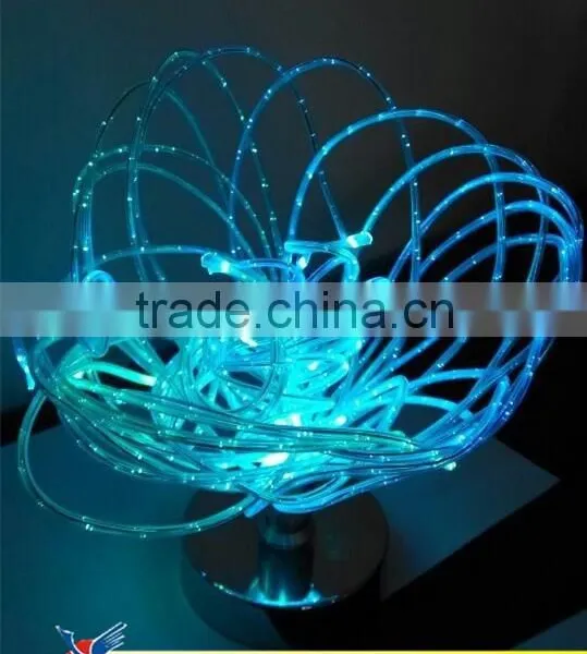 Frankever Fiber Optic Home Light Led Fiber Optic Lighting