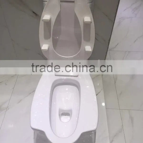 YL1025 Popular Design Double Use Siphonic One Piece Toilet photo-3