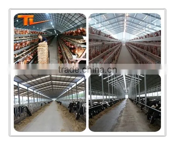 Prefabricated Building Steel Chicken Farm
