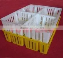 Day Old Chick Basket