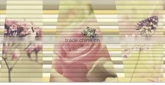 with border Decorative Ceramic Wall Tiles India