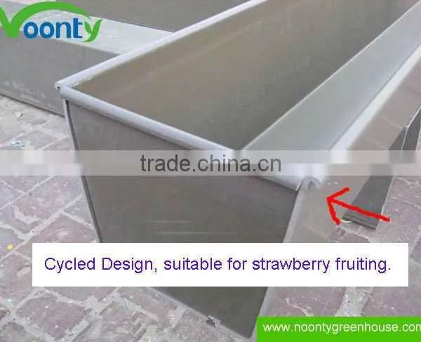 Strawberry Gutter photo-5
