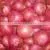 AGRICULTURE COMMODITY RED ONION